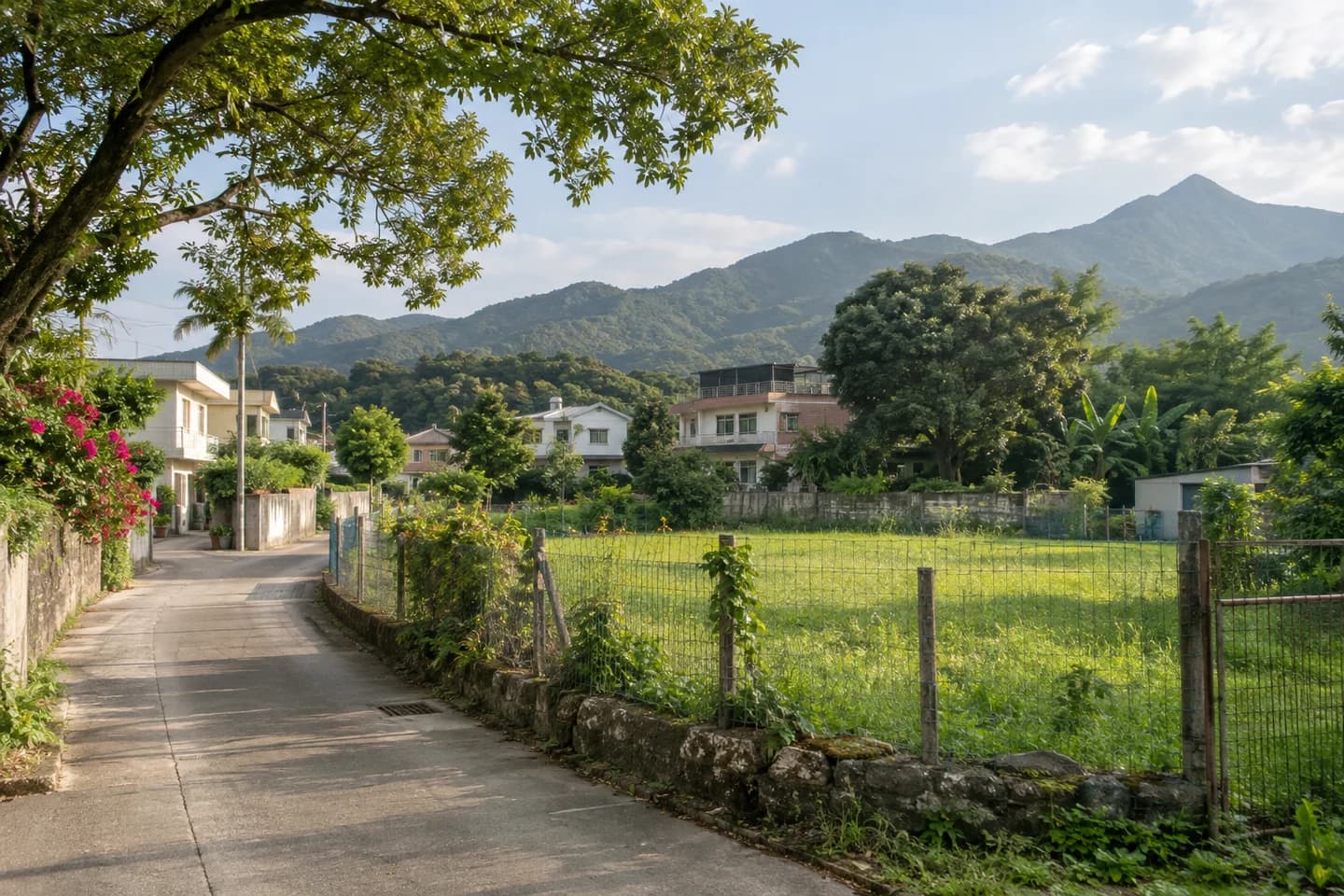 新界鄉郊土地與村路